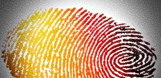 branch-spiral-pattern-line-finger-circle-1333689-pxhere_com_1024 Fingerprint Photo: pxhere.com