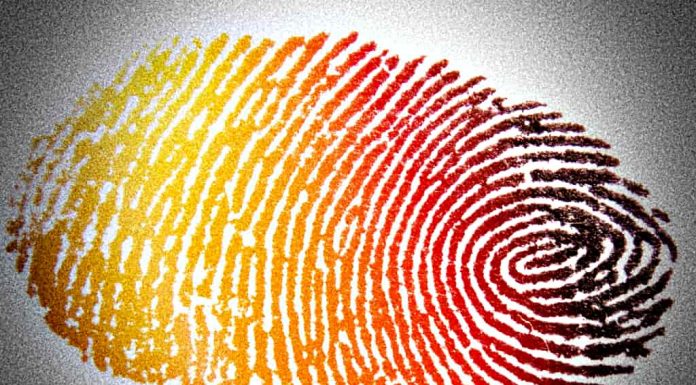 Fingerprint Photo: pxhere.com