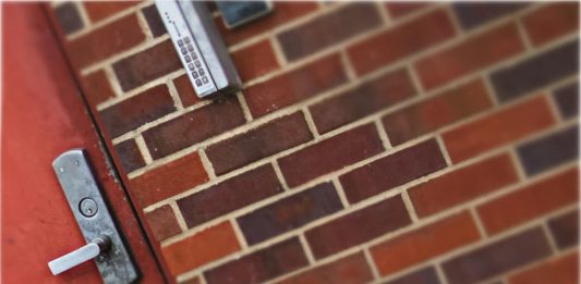 Photo: Brixiv /pexels.com