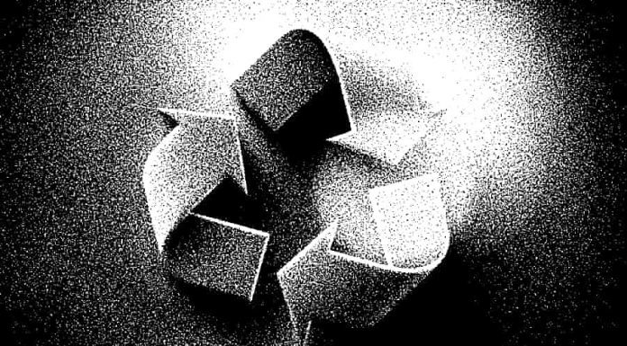 AI generated Illustration / Original by StockCake